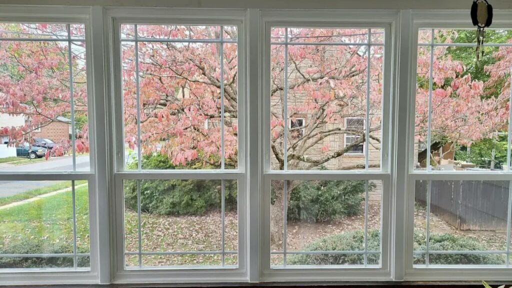 new windows on Boardman home